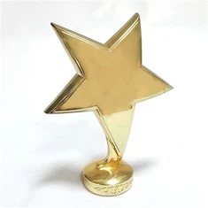 3d Star Metal Trophy Pati